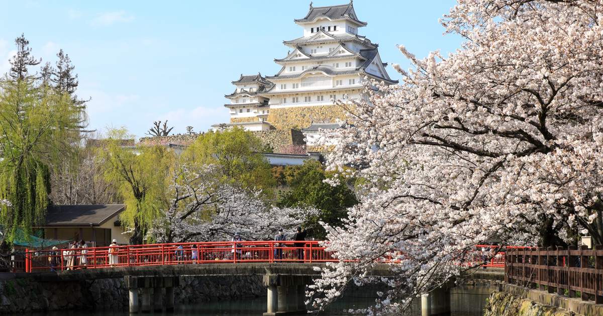 生活の発見 場所と時代をめぐる驚くべき歴史の旅 | ローマン